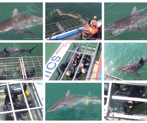 Daily Blog: 18 November 2024