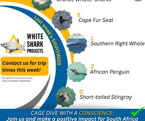 Last Week's Marine Sightings