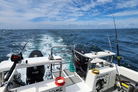 WhatsApp_Image_2024_11_20_at_14.06.56_3_1__1732258797