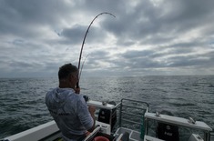 WhatsApp_Image_2024_11_20_at_14.06.56_1__1732258821