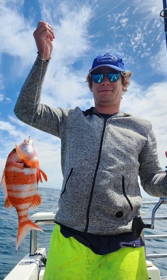 WhatsApp_Image_2024_11_20_at_14.06.56_2_2__1732258894