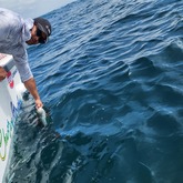 Fishing - Awesome Charters - Xplorio™ L'Agulhas / Struisbaai