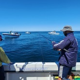 Fishing - Awesome Charters - Xplorio™ L'Agulhas / Struisbaai