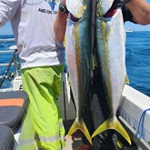 Fishing - Awesome Charters - Xplorio™ L'Agulhas / Struisbaai