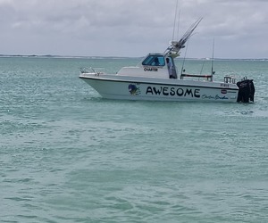 Fighting the Notorious Yellowtail Off the Agulhas Banks - Struisbaai!