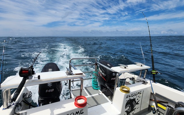 WhatsApp_Image_2024_11_20_at_14.06.56_3_2_1732260003