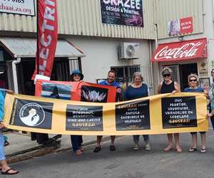 Gansbaai Planters Transformed by Local Art