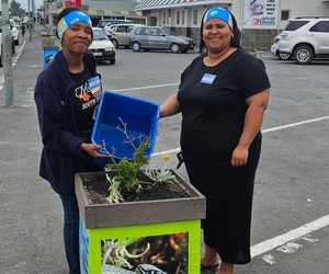 Keep Watering Our Plants!