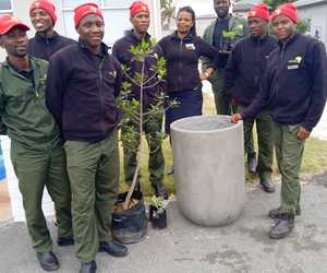 Grootbos Foundation Plants for a Greener Gansbaai!