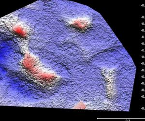 Exploring Human Origins