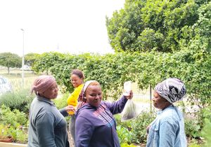 i-MED Africa Community Visit