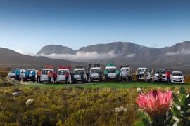 Meet the Fynbos Gardens Team