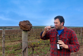 Savour Strandveld Wines at The Great White House