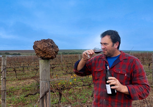 Savour Strandveld Wines at The Great White House