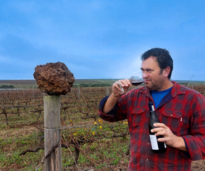 Savour Strandveld Wines at The Great White House