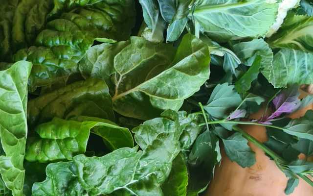 WhatsApp_Image_2024_11_28_at_14.04.34_1732797377