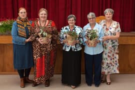 VLV sluit 2024 met ‘Skaterlag’ af