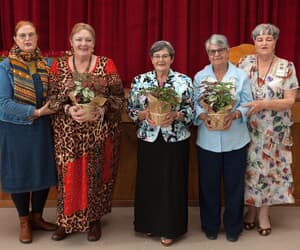 VLV sluit 2024 met ‘Skaterlag’ af