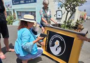 Congratulations to our winners of the Photographic Art Contest!