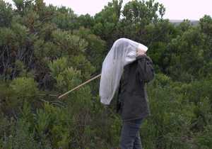 Rapid Bioblitz Adventures!