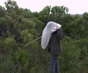 Rapid Bioblitz Adventures!