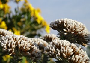 Who else wants to explore the Great Outdoors?