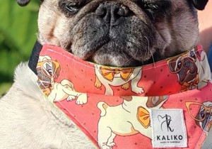 New Product Alert: Doggy Bandanas!