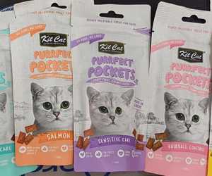 New Cat Treats