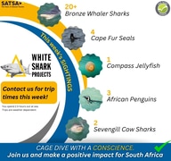 This Week's Marine Encounters