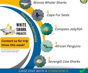 This Week's Marine Encounters