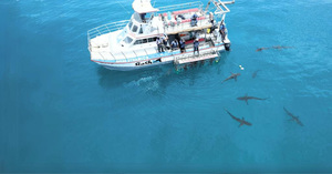 Quarterly Newsletter: Season's Greetings!