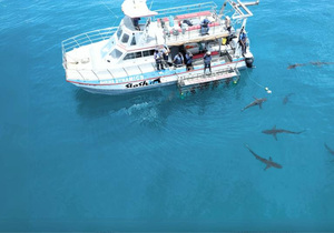 Quarterly Newsletter: Season's Greetings!