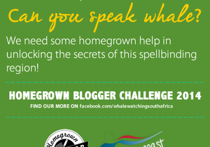 Can you speak Whale?