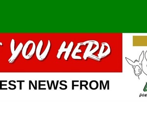 EARS Donkey Sanctuary Newsletter