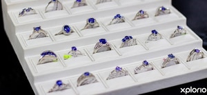 Review from Karla Laubscher