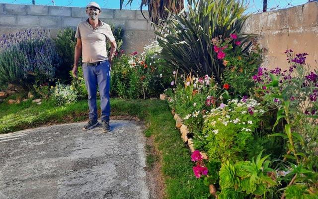 TuinkompetisieDienAsVoorbeeld3_1734505410