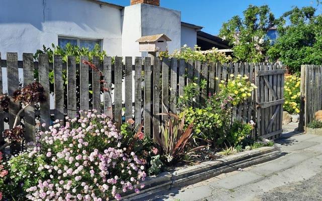 TuinkompetisieDienAsVoorbeeld4_1734505411