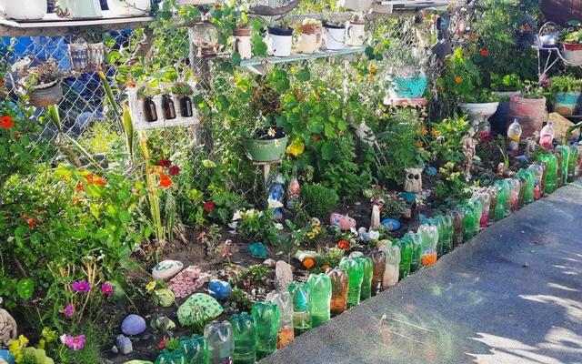 TuinkompetisieDienAsVoorbeeld5_1734505412