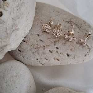 WhatsApp_Image_2024_12_18_at_08.12.55_1734508626