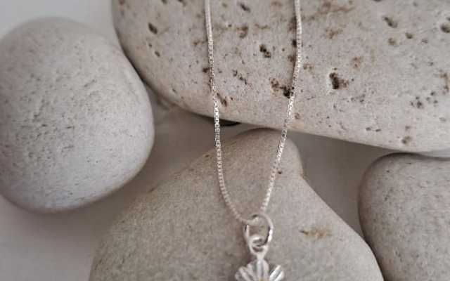 WhatsApp_Image_2024_12_18_at_08.12.56_1734508628