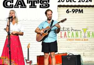 20 December 2024: Love Cats Live