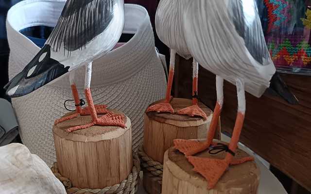 470193623_1117354027057483_1291037975763082499_n_1_1734613011