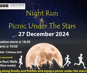 27 December 2024: Night Run and Picnic Under The Stars