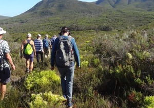 Strandveld Hiking Club 2024 AGM Minutes