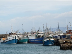 Die ‘Boet van Visnette’