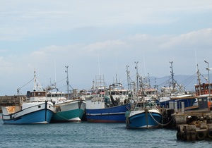 Die ‘Boet van Visnette’