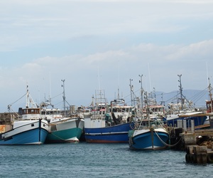 Die ‘Boet van Visnette’