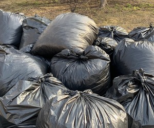 Waste Collection to Proceed as Normal This Week