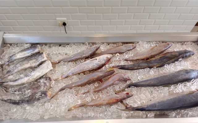 WhatsApp_Image_2024_12_23_at_11.22.33_1734946273