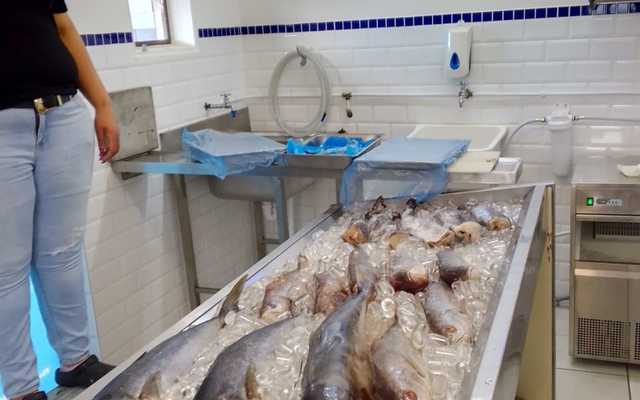 WhatsApp_Image_2024_12_23_at_11.22.34_1734946274